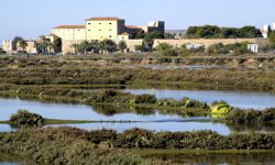 Portugal Faro Salinen