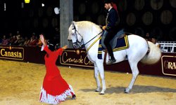 Pferdeshow der Pferde der Königlichen Andalusischen Hofreitschule