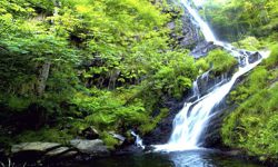 Seimeira Wasserfall Oscos