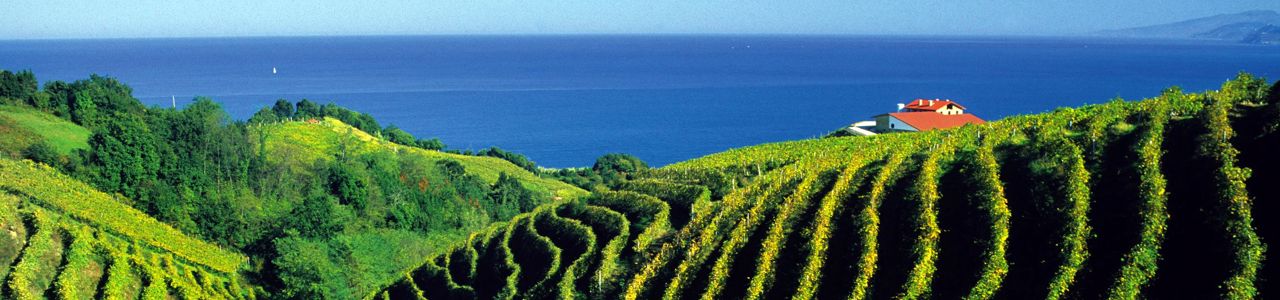 Bus-Rundreise Weingebiete Baskenland
