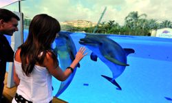 Selwo Marina Delfinarium